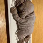 ヒメ日記 2024/12/29 09:34 投稿 おとは ビデオDEはんど 名古屋校