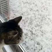 ヒメ日記 2025/01/14 09:34 投稿 おとは ビデオDEはんど 名古屋校