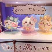 ヒメ日記 2025/02/07 17:14 投稿 おとは ビデオDEはんど 名古屋校