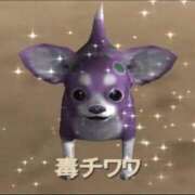 ヒメ日記 2025/02/17 09:44 投稿 おとは ビデオDEはんど 名古屋校