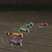 ヒメ日記 2025/02/18 17:38 投稿 おとは ビデオDEはんど 名古屋校