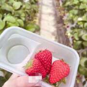 ヒメ日記 2025/03/20 09:34 投稿 おとは ビデオDEはんど 名古屋校