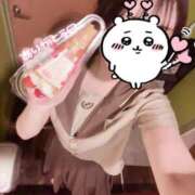 ヒメ日記 2025/04/24 18:24 投稿 おとは ビデオDEはんど 名古屋校