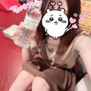 ヒメ日記 2025/05/05 09:44 投稿 おとは ビデオDEはんど 名古屋校