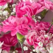 ヒメ日記 2025/05/16 17:14 投稿 おとは ビデオDEはんど 名古屋校