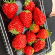 ヒメ日記 2025/06/01 09:34 投稿 おとは ビデオDEはんど 名古屋校