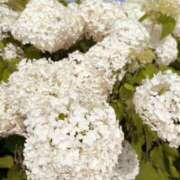 ヒメ日記 2025/06/20 09:34 投稿 おとは ビデオDEはんど 名古屋校