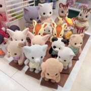 ヒメ日記 2025/06/25 09:44 投稿 おとは ビデオDEはんど 名古屋校