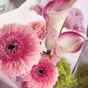 ヒメ日記 2025/06/29 09:24 投稿 おとは ビデオDEはんど 名古屋校