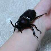 ヒメ日記 2025/07/22 09:44 投稿 おとは ビデオDEはんど 名古屋校