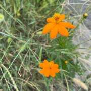 ヒメ日記 2025/09/05 09:44 投稿 おとは ビデオDEはんど 名古屋校