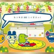 ヒメ日記 2025/09/10 09:34 投稿 おとは ビデオDEはんど 名古屋校