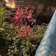 ヒメ日記 2025/10/03 09:25 投稿 おとは ビデオDEはんど 名古屋校