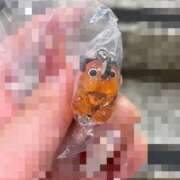 ヒメ日記 2025/11/26 14:05 投稿 おとは ビデオDEはんど 名古屋校