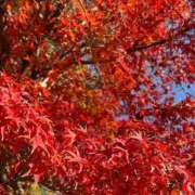 ヒメ日記 2025/12/09 09:45 投稿 おとは ビデオDEはんど 名古屋校