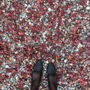 ヒメ日記 2025/12/11 09:45 投稿 おとは ビデオDEはんど 名古屋校