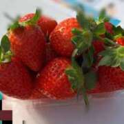 ヒメ日記 2025/12/28 09:35 投稿 おとは ビデオDEはんど 名古屋校