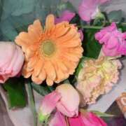 ヒメ日記 2026/01/23 11:56 投稿 おとは ビデオDEはんど 名古屋校