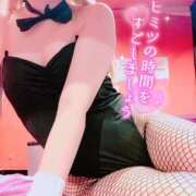 ヒメ日記 2025/02/03 13:01 投稿 ミオ バニーコレクション千葉栄町店