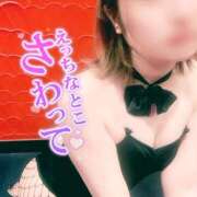 ヒメ日記 2025/03/23 17:01 投稿 ミオ バニーコレクション千葉栄町店