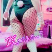 ヒメ日記 2025/06/17 15:02 投稿 ミオ バニーコレクション千葉栄町店