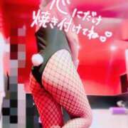 ヒメ日記 2025/07/28 16:01 投稿 ミオ バニーコレクション千葉栄町店