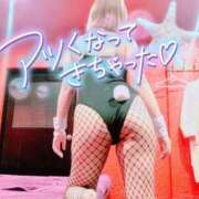 ヒメ日記 2025/07/29 18:01 投稿 ミオ バニーコレクション千葉栄町店