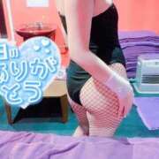 ヒメ日記 2025/10/04 14:01 投稿 ミオ バニーコレクション千葉栄町店