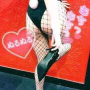 ヒメ日記 2025/11/13 19:01 投稿 ミオ バニーコレクション千葉栄町店