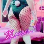 ヒメ日記 2026/04/01 12:06 投稿 ミオ バニーコレクション千葉栄町店