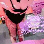 ヒメ日記 2026/04/02 17:01 投稿 ミオ バニーコレクション千葉栄町店