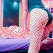 ヒメ日記 2026/04/07 14:01 投稿 ミオ バニーコレクション千葉栄町店