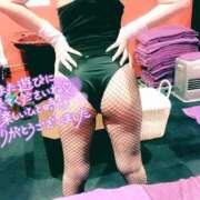 ヒメ日記 2026/05/05 10:04 投稿 ミオ バニーコレクション千葉栄町店