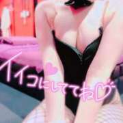 ヒメ日記 2026/07/25 20:03 投稿 ミオ バニーコレクション千葉栄町店