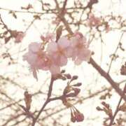 ヒメ日記 2026/03/04 02:00 投稿 かおり 錦糸町人妻ヒットパレード（シンデレラグループ）