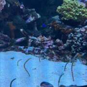 ヒメ日記 2026/03/28 19:13 投稿 みらい 乳首愛撫専門店「五反田シルキータッチ」