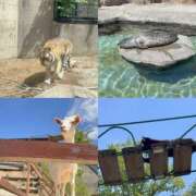 ヒメ日記 2025/07/09 22:59 投稿 りほ 花火-hanabi-(すすきの)