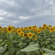 ヒメ日記 2025/08/14 17:07 投稿 りほ 花火-hanabi-(すすきの)