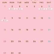 りほ 3月前半のシフト🗓 花火-hanabi-(すすきの)