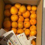 ヒメ日記 2025/12/11 23:21 投稿 亜瑠花-ARUKA- luxury aroma 咲