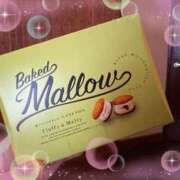 ヒメ日記 2025/03/29 15:20 投稿 もえり 日暮里・西日暮里サンキュー