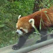 ヒメ日記 2025/11/22 18:46 投稿 みちる PRIME