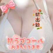 ヒメ日記 2026/01/03 10:33 投稿 さち 大高・大府市・東海市ちゃんこ