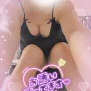 ヒメ日記 2026/02/10 14:13 投稿 さち 大高・大府市・東海市ちゃんこ