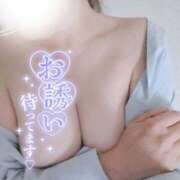 ヒメ日記 2026/04/15 09:03 投稿 さち 大高・大府市・東海市ちゃんこ