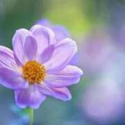 ヒメ日記 2024/12/13 23:35 投稿 ちとせ 待ちナビ