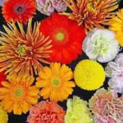 ヒメ日記 2025/04/03 23:15 投稿 ちとせ 待ちナビ