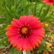 ヒメ日記 2025/05/31 18:45 投稿 ちとせ 待ちナビ