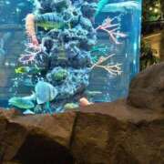 ヒメ日記 2025/06/15 12:25 投稿 ちとせ 待ちナビ