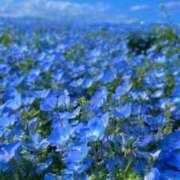 ヒメ日記 2024/12/13 13:01 投稿 りく Second Love（セカンドラブ）